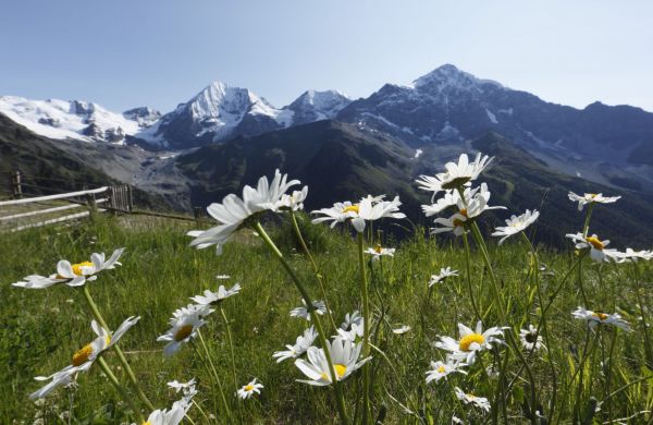 SOMMERZEIT