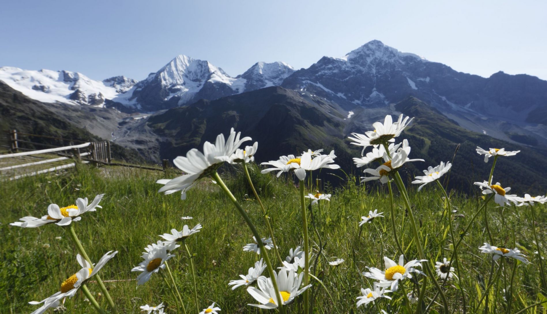 SOMMERZEIT